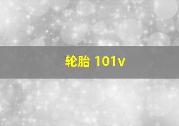 轮胎 101v